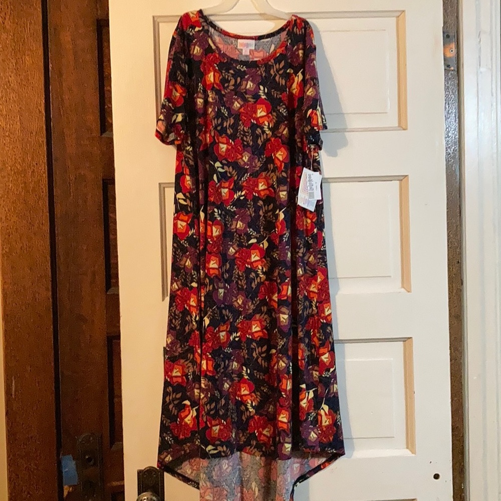 New medium Lularoe Carly dress